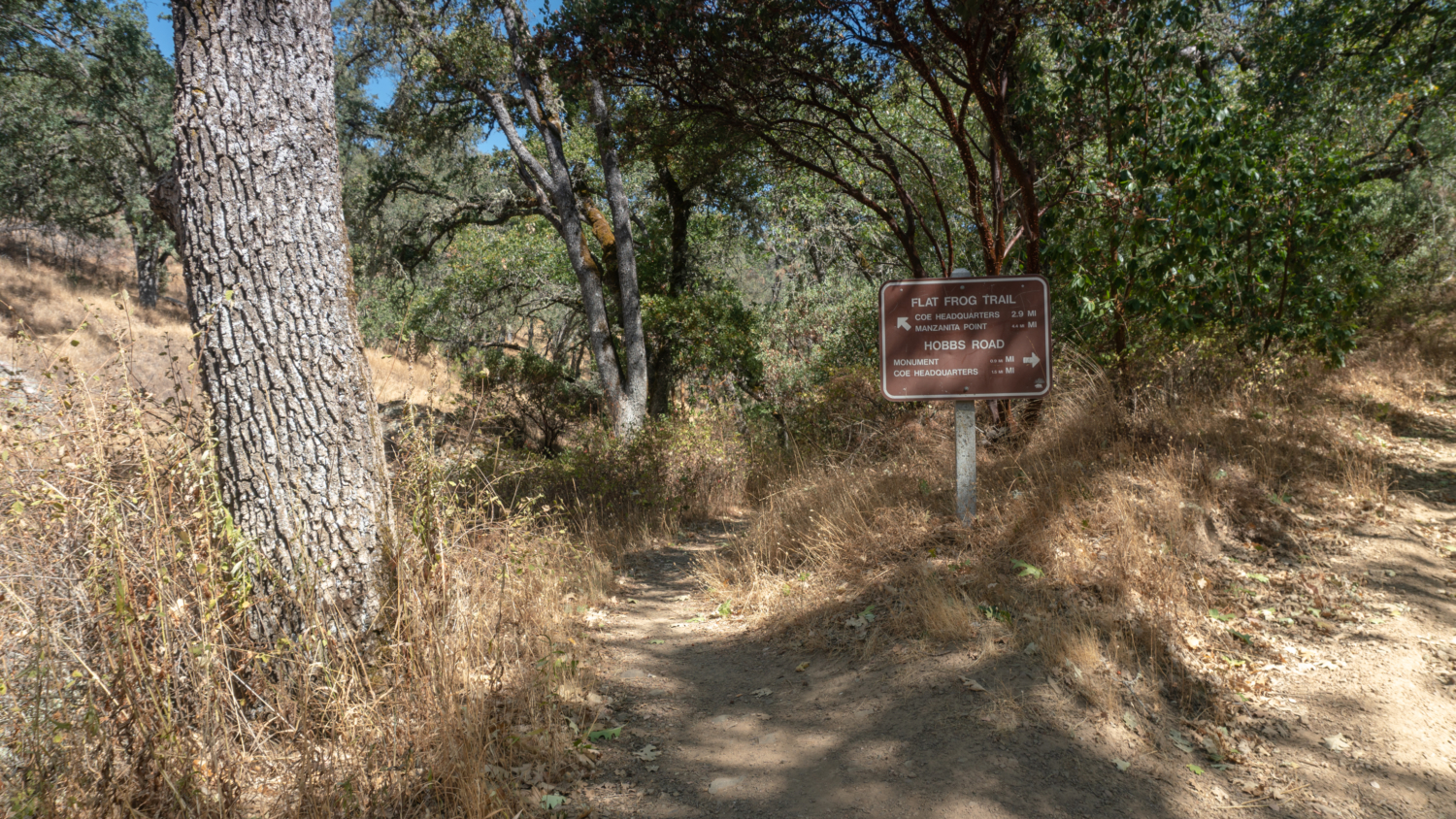 Frog Lake Loop