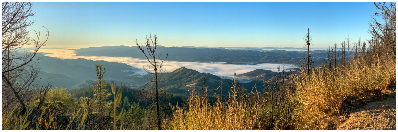 Mount Saint Helena